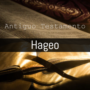 Hageo